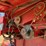 case-ih-1680-image-23