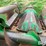 john-deere-843-image-13