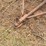 portable-livestock-loading-chute-image-3