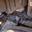 2015-freightliner-business-class-m2-106-image-20