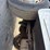 2017-ford-f250-image-24