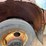 #4059-•-1996-chevy-truck-image-31