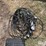 case-ih-600-image-10