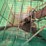 #45624-•-sukup-giant-grain-cart-image-26