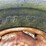 #45623-•-levee-packer-image-6