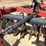 2004-case-ih-rmx790-image-34