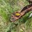 #45623-•-levee-packer-image-15