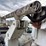 2006-international-durastar-4300-image-13
