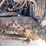 #4013-•-2000-quad-axle-mack-dump-truck-(has-wi-title)-image-133