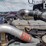 1999-kenworth-t800-image-42