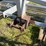 custom-onion-bedder---bruce,-wa-image-13