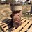 randolph-f125-right-angle-gear-head-image-4