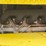 #4050-•-1998-ingersoll-rand-compactor-image-38