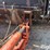 case-ih-l300-image-18