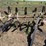 ag-engineering-dammer-diker-image-2
