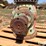 randolph-f100-right-angle-gear-head-image-5