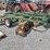 4473-john-deere-12-image-6