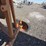piler---pasco,-wa-image-16