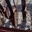 international-510-image-9