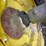 sunflower-5033-27-image-9