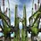 2012-claas-liner-2800-image-16