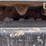 toro-mbtx2500-image-10