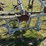 vegetable-bed-flammer---bruce,-wa-image-7
