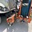 2016-international-workstar-7500-image-28