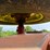 sunflower-5033-27-image-40