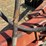 sunflower-4211-13-image-11