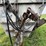 loewen-feed-mixer---davenport,-wa-image-11