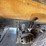 #4013-•-2000-quad-axle-mack-dump-truck-(has-wi-title)-image-71