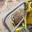 #4050-•-1998-ingersoll-rand-compactor-image-52