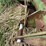 john-deere-e0900-image-20