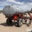 2011-case-ih-2800-image-5