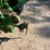 1998-john-deere-8400-image-7