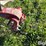2014-new-holland-h7230-image-10
