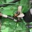 john-deere-4239t-image-18