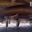2002-john-deere-hx10-image-8