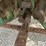 1936-john-deere-model-a-image-12