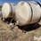 wylie-200-image-1