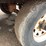 #4039-•-2012-novae-deck-over-trailer-image-14