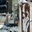 bobcat-763-image-11