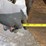 kello-bilt-275-image-18