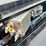 2023-king-trail-image-50