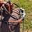 140-gallon-fuel-tank-image-5