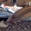 bobcat-e60r2-image-29