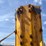 volvo-a25-image-92