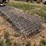 hog-panels-image-6