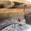 #4015-•-2004-freightliner-dump-truck-(has-wi-title)-image-26